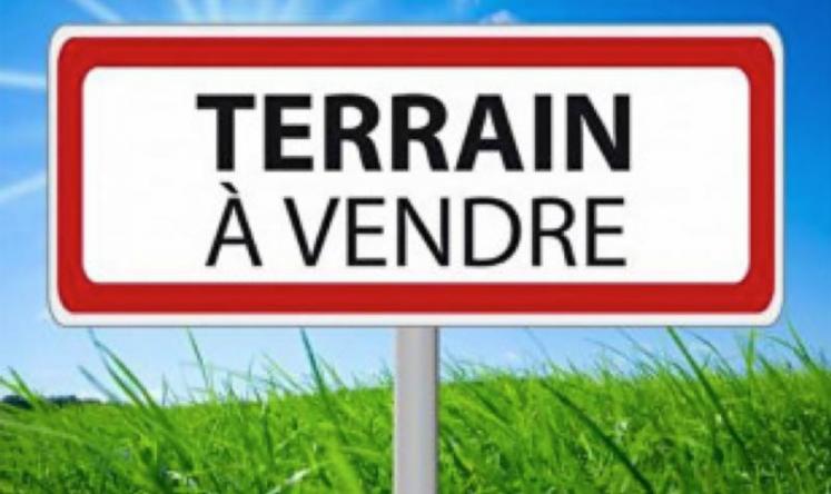 Vous vendez ? Vous louez ?